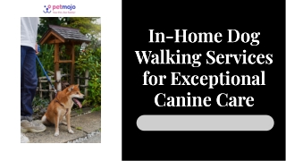 Dog Walking Service