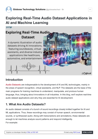 Exploring Real-Time Audio Dataset Applications in AI and Machine Learning