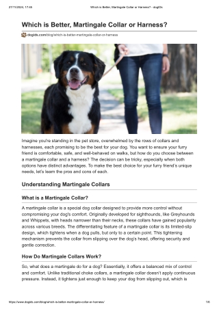 Which is Better, Martingale Collar or Harness