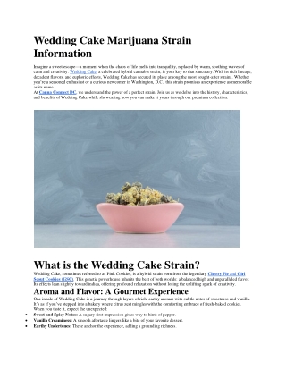 Wedding Cake Marijuana Strain Information