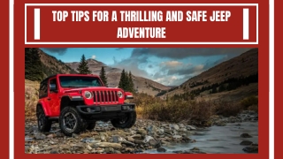 Adventure Through Jeep Tours Trails