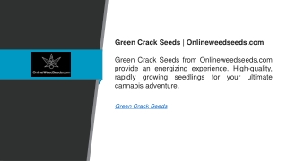 Green Crack Seeds  Onlineweedseeds.com