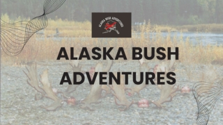 Alaska Bush Adventures