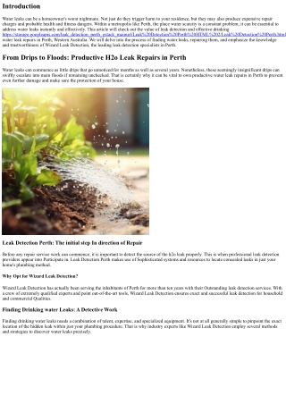 From Drips to Floods: Efficient Drinking water Leak Repairs in Perth