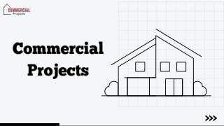 Commercial Property in Noida Extension