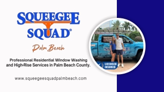 Residential Window Cleaning Boca Raton