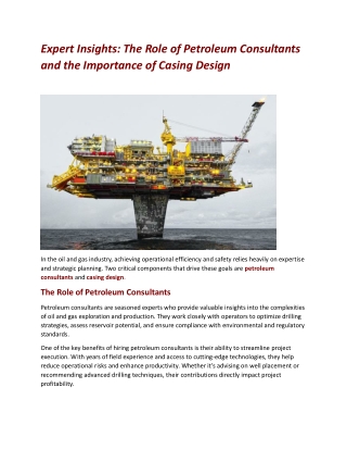 Expert Insights The Role of Petroleum Consultants and the Importance of Casing Design