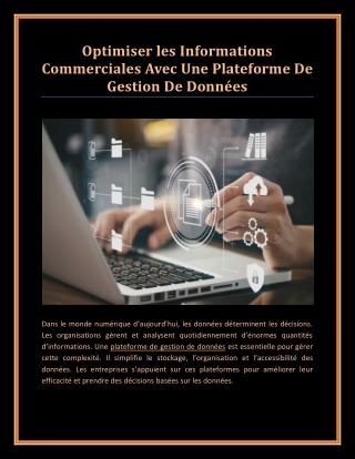 Optimiser les Informations Commerciales Avec Une Plateforme De Gestion De Données