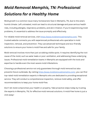 Mold Removal Memphis, TN Professional Solutions for a Healthy Home