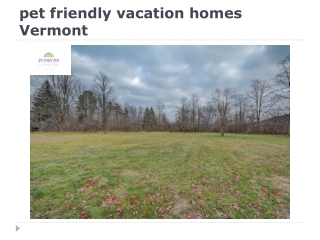 pet friendly vacation homes Vermont