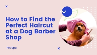 How to Find the Perfect Haircut at a Dog Barber Shop