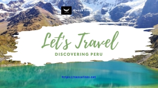 The Enigmatic Nazca Lines