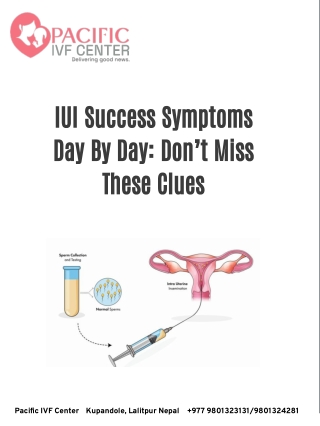 Success IVF Symptoms: day by day