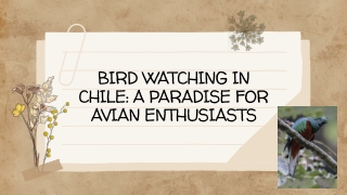 Bird Watching : A Paradise for Avian Enthusiasts