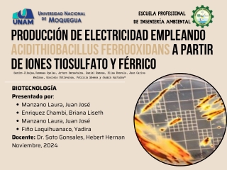 PRODUCCIÓN DE ELECTRICIDAD EMPLEANDO Acidithiobacillus ferrooxidans A PARTIR DE IONES TIOSULFATO Y FÉRRICO