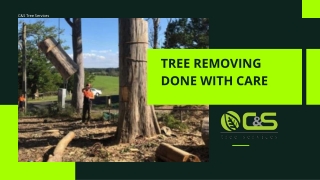 Tree Removing Done With Care