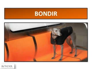 Chic Dog Tank Tops for Trendy Pets | BONDIR