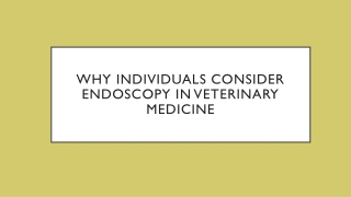 Why Individuals Consider Endoscopy in Veterinary Medicine