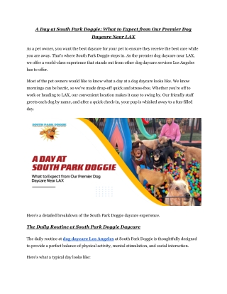 A Day at South Park Doggie: What to Expect from Our Premier Dog Daycare Near LAX