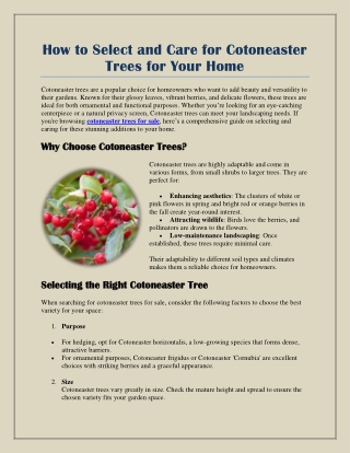 How to Select and Care for Cotoneaster Trees for Your Home