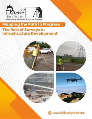 Dolphin Brochure Nov