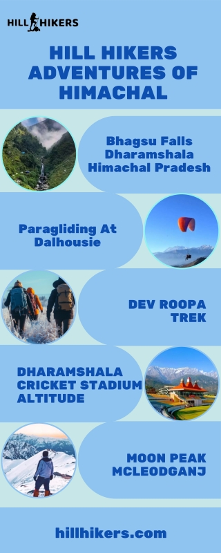Paragliding Adventure in Dalhousie