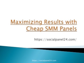 Maximizing Results with Cheap SMM Panels