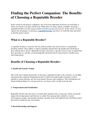 Finding the Perfect Companion The Benefits of Choosing a Reputable Breeder