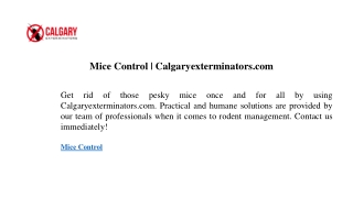 Mice Control  Calgaryexterminators.com1