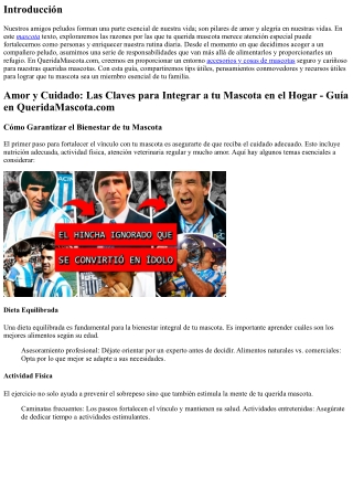 Cuidado y Amor: Cómo Hacer de tu Querida Mascota una Parte Fundamental de tu Fam