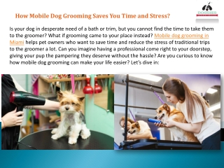 How Mobile Dog Grooming Saves You Time and Stress