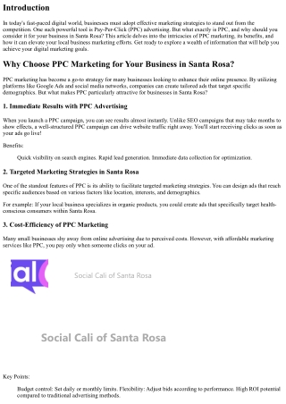 Why Choose PPC Marketing for Your Business in Santa Rosa?