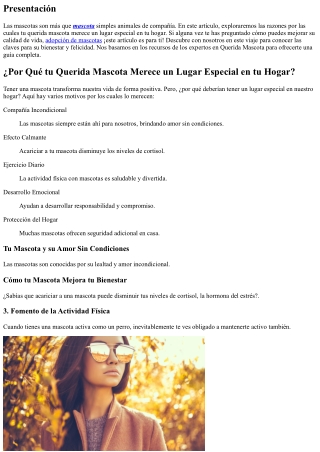 La Importancia de un Espacio Especial para tu Fiel Compañero