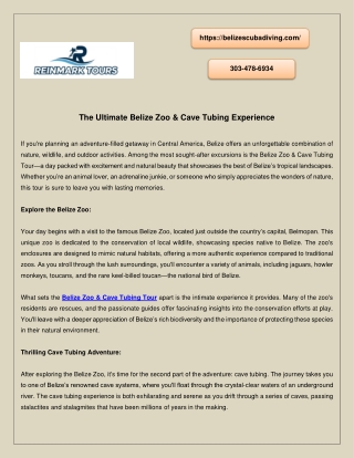 Why Choose the Belize Zoo & Cave Tubing Tour?