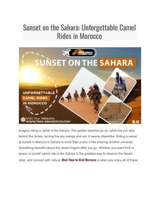 Sunset on the Sahara: Unforgettable Camel Rides in Morocco
