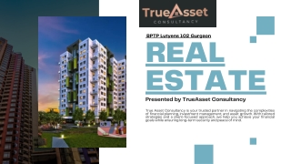 BTPT Lutyens 102 PDF Submission