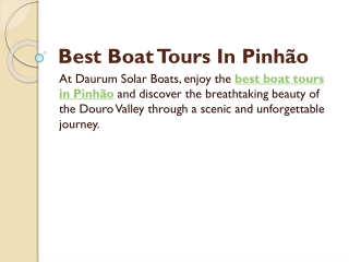 Best Boat Tours In Pinhão