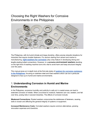 Choosing the Right Washers for Corrosive Environments in the Philippines