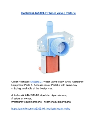 Hoshizaki 4A5309-01 Water Valve _ PartsFe