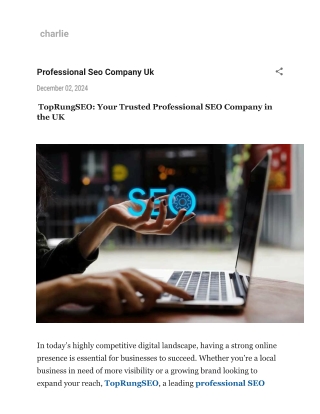 Professional Seo Company Uk