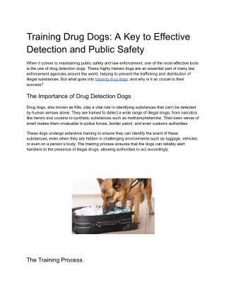 Training Drug Dogs_ A Key to Effective Detection and Public Safety