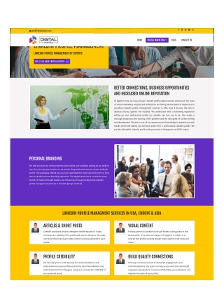 Professional LinkedIn Profile Management Services in the USA
