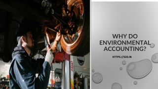 Why do Environmental Accounting
