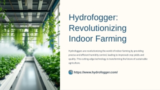Hydrofogger-Revolutionizing-Indoor-Farming.