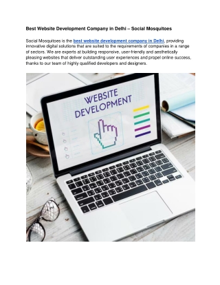 Best Website Development Company in Delhi – Social Mosquitoes