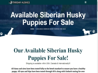 Siberian Husky Puppies for sale