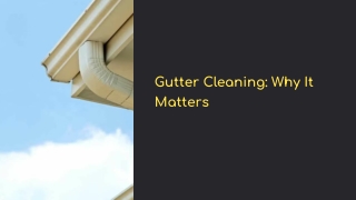 Professional Gutter Cleaning Services