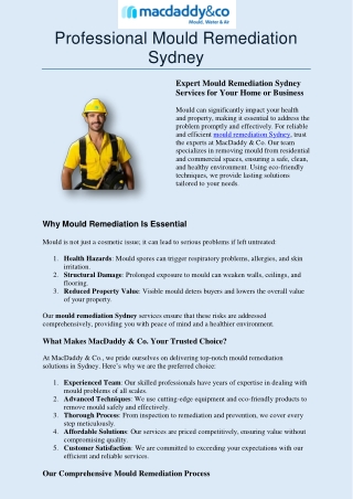 professional mould remediation sydney