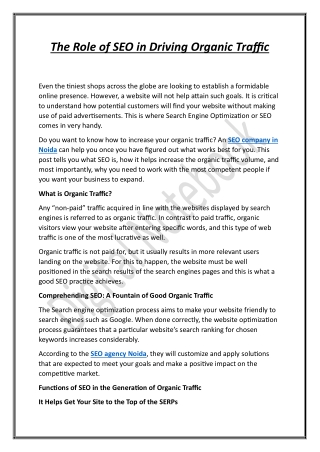 SEO Company in Noida