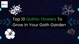 Top 10 Gothic Flowers To Grow In Your Goth Garden